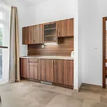 Apartament - Konferencni *