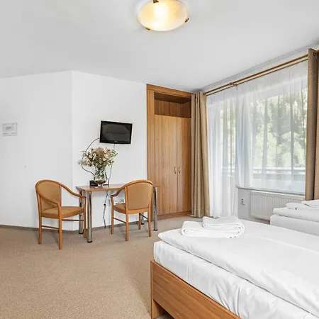 - Konferencni * Samechov