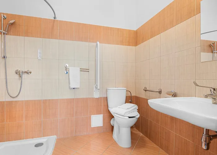 - Konferencni * Samechov