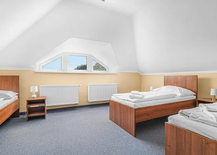 - Konferencni 아파트 *