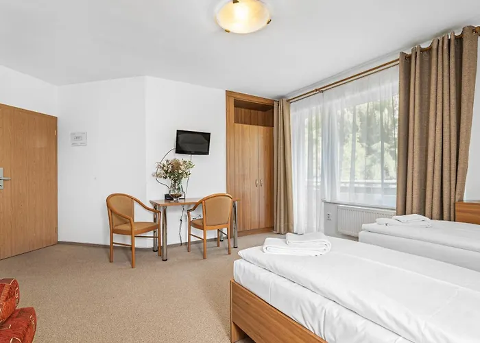 - Konferencni * Samechov