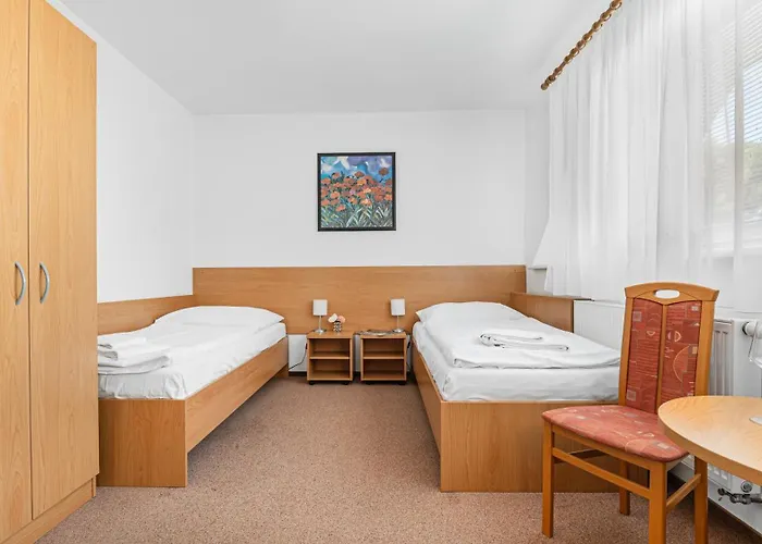 - Konferencni 아파트